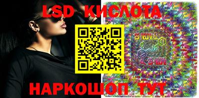 крисы Абакан