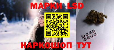 крисы Абакан