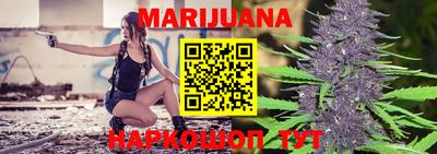 крисы Абакан