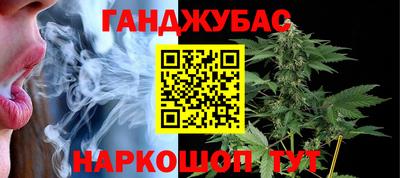 крисы Абакан