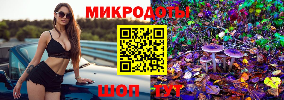 что такое   Псилоцибиновые грибы Psilocybe  Вход с VPN  Отрадное 