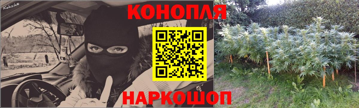 Марихуана ГИДРОПОН  Бошки Шишки White Widow  Отрадное  Вход с VPN 